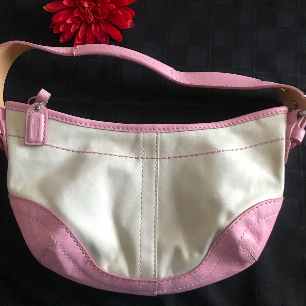 Mini Coach purse